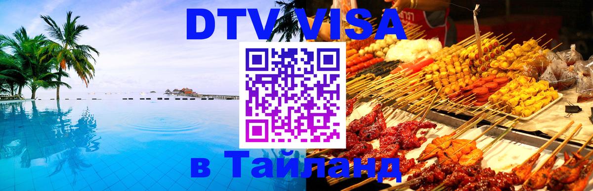 Оформление DTV визы под ключ: стоимость и тарифы, только загранпаспорт - Саранск 